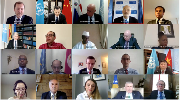 Cuộc họp trực tuyến về tình hình Bosnia và Herzegovina của HĐBA LHQ.